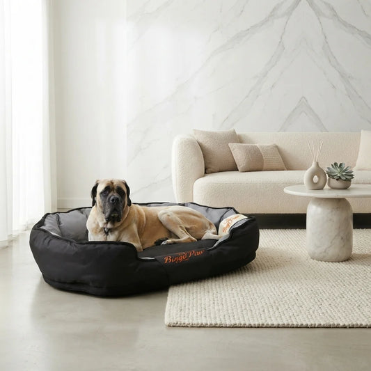 A large tan English Mastiff relaxing inside a black and grey Calming Orthopedic Sofa Dog Bed for Large Dogs from Calmingpetshop. The premium bed—comparable in plush comfort to a waterproof orthopedic dog bed xxl—is placed on a textured cream rug in a bright, modern living room. The background features a minimalist cream bouclé sofa, neutral throw pillows, a round marble coffee table with decor, and a white marble accent wall.