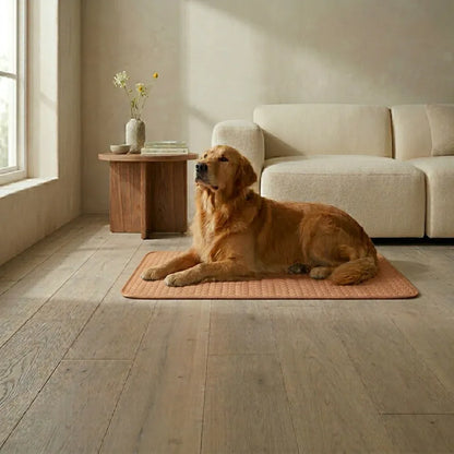  Golden retriever resting calmly on a terracotta cooling mat in a sunlit, minimalist living room